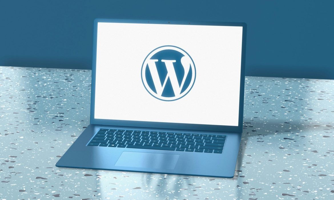 Beberapa Pilihan Plugin WordPress SEO untuk Website Anda
